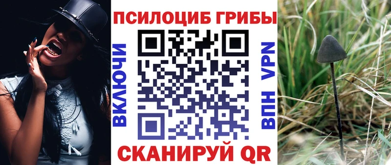 Псилоцибиновые грибы мухоморы  Нижнекамск 